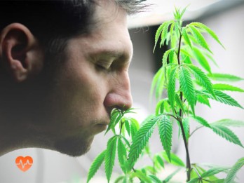 Детоксикация от марихуаны в Славянке